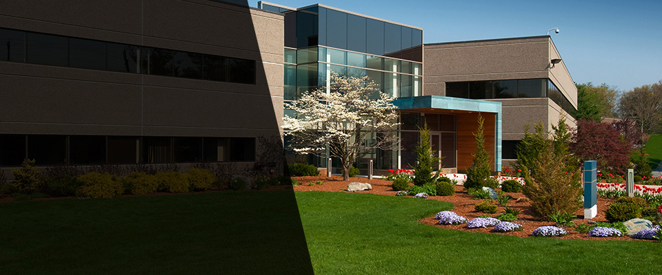 North Collins Landscapers