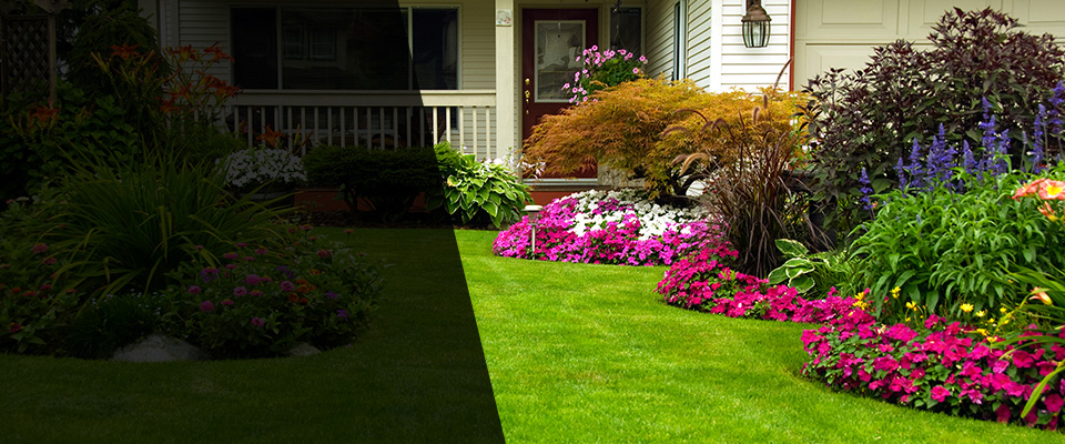 North Collins Landscapers