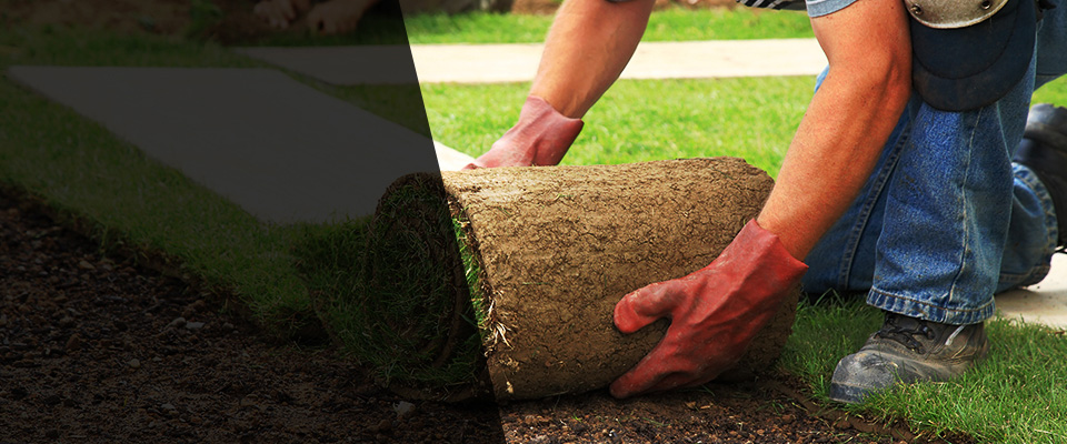 North Collins Landscapers